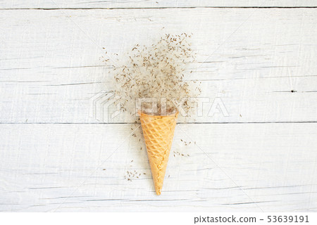 Abstract ice cream of dandelion fluff on the white 53639191
