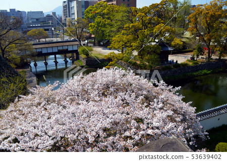 Fuuchi Castle 53639402