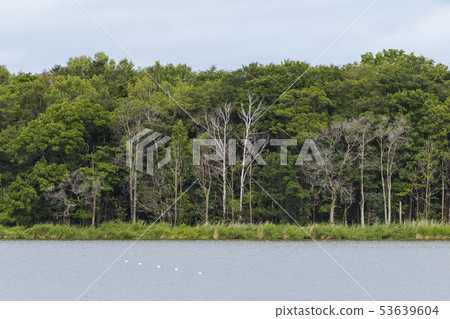 網走湖夏日風光 53639604