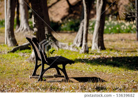 Spring's bench 53639682