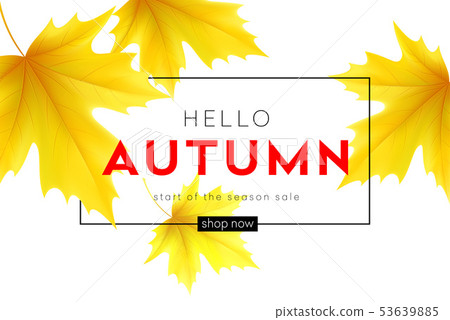 Autumn poster with lettering and yellow autumn maple leaves. Vector illustration 53639885