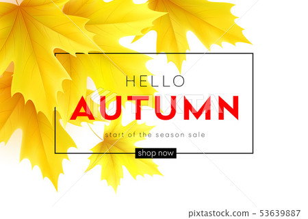 Autumn poster with lettering and yellow autumn maple leaves. Vector illustration 53639887