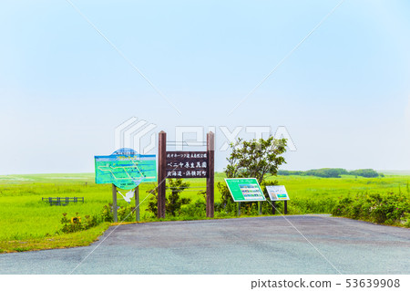 Venezia花園夏天視圖 53639908