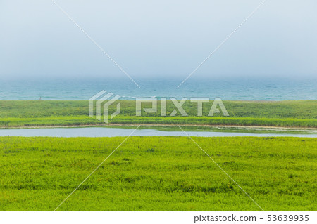 Venezia花園夏天視圖 53639935