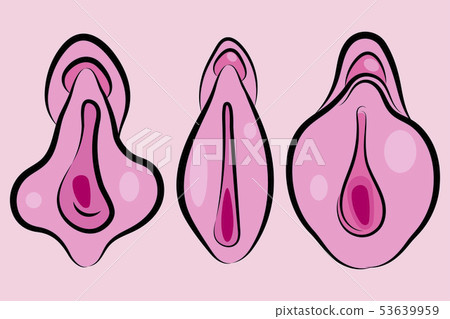 Human Vagina, Vaginal Opening Or Female Human Vagina, Vaginal Opening Or Female 53639959