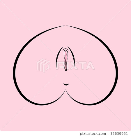 Human Vagina, Vaginal Opening Or Female Human Vagina, Vaginal Opening Or Female 53639961