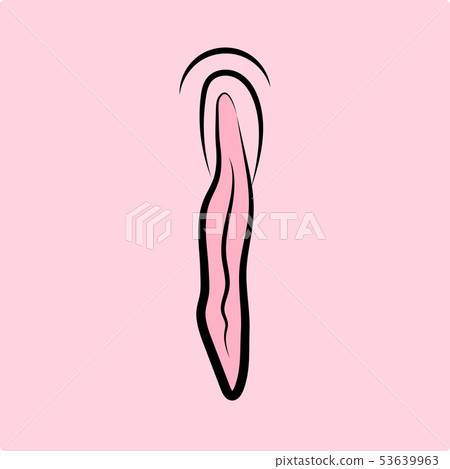 Human Vagina, Vaginal Opening Or Female 53639963