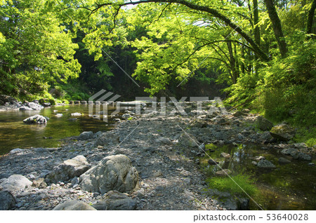 新鮮的綠色Agatsuma峽谷Doremifa橋樑 53640028