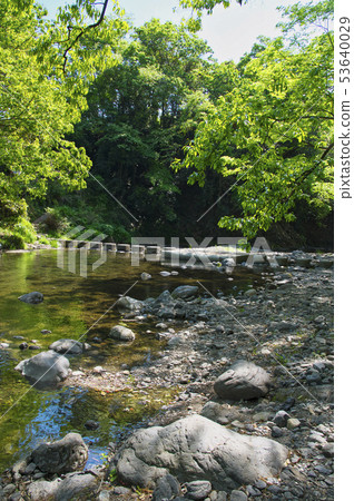 Fresh green Agatsuma Gorge Doremifa Bridge Fresh green Agatsuma Gorge Doremifa Bridge 53640029
