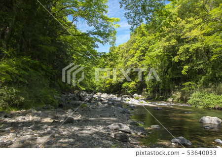 新鮮的綠色Agatsumakyo Doremifa橋上游 新鮮的綠色Agatsumakyo Doremifa橋上游 53640033