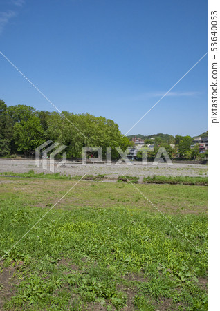 Fresh green Hannogawara Fresh green Hannogawara 53640053