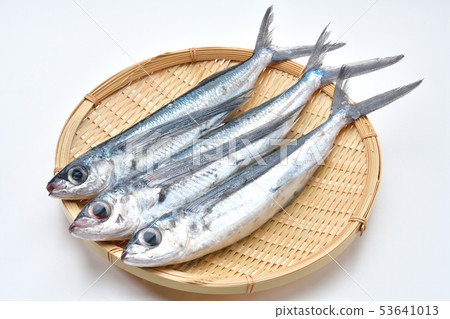 Tobiou, flying fish, flying fish, flying fish, saltwater fish, fresh fish, ingredients (raw, unheated) 53641013