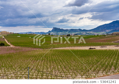 Landscape view of Cieza near Murcia in Spain Landscape view of Cieza near Murcia in Spain 53641241