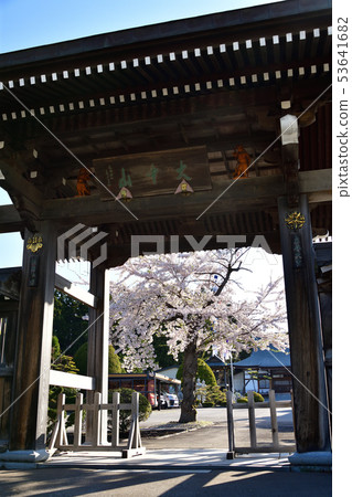拍攝在北海道南奈町的Oonakayama Hounji寺開花的櫻花的風景 53641682