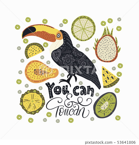Bright bird Toucan. Vector. 53641806