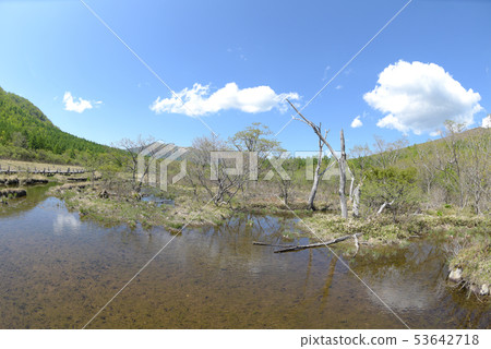 Tochigi Prefecture Numahara 53642718