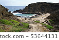[Hawaii] Landscape of Halona Beach Cove _ 001 53644131