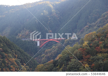 Autumn leaves of Hiroshima 53644646