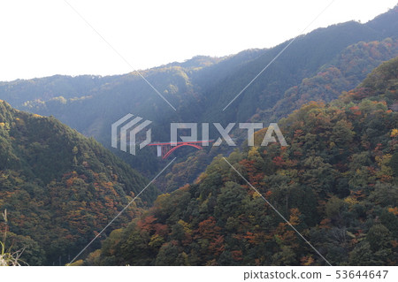 Autumn leaves of Hiroshima 53644647