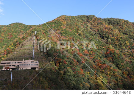 Autumn leaves of Hiroshima Autumn leaves of Hiroshima 53644648