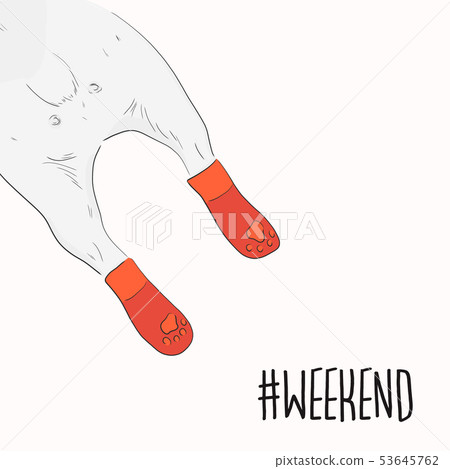Funny pug back with weekend quote illustration. Co Funny pug back with weekend quote illustration. Co 53645762
