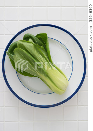 Qing-geng-cai Qing-geng-cai 53646560