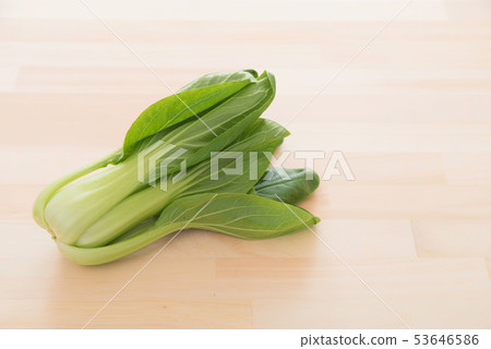 藍栗子 53646586
