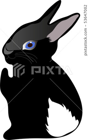 White baby rabbit with a blue eyes tail - Stock Illustration [53647082 ...
