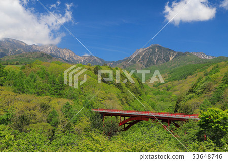 Fresh green Higashi Ohashi Bridge 53648746