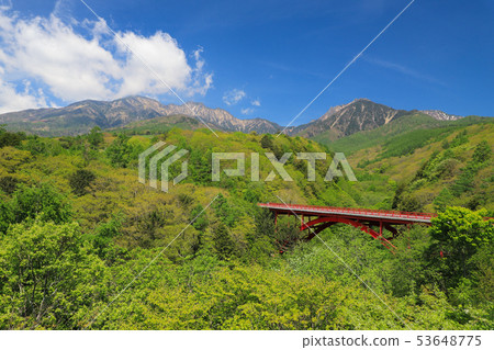 新鮮的綠色東大橋 53648775