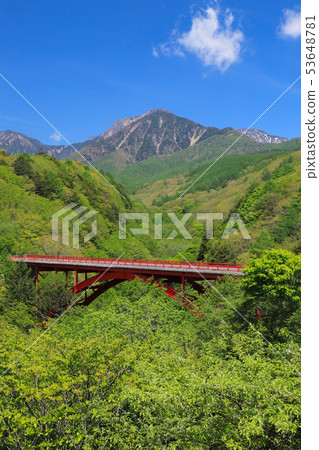 新鮮的綠色東大橋 53648781