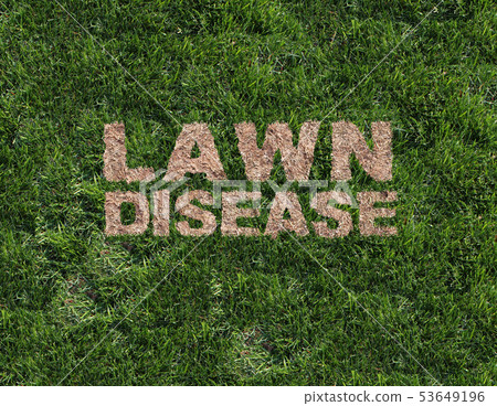 Lawn Disease Lawn Disease 53649196