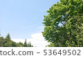 Green space 53649502