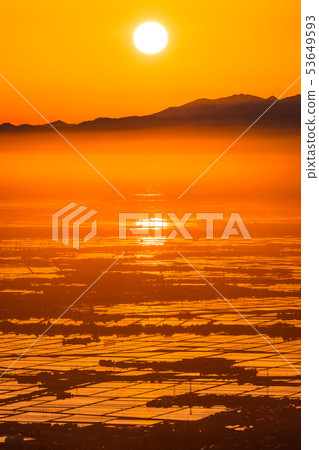 《Niigata Prefecture》 Echigo Plain at dawn 53649593