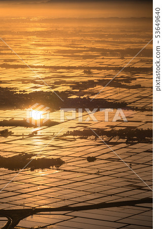《Niigata Prefecture》 Echigo Plain at dawn 53649640