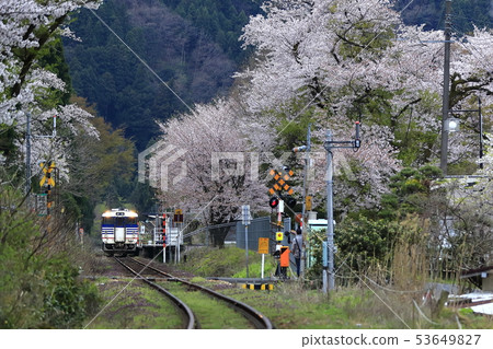 Sakihana Station in Spring (Banetsu West Line) Sakihana Station in Spring (Banetsu West Line) 53649827