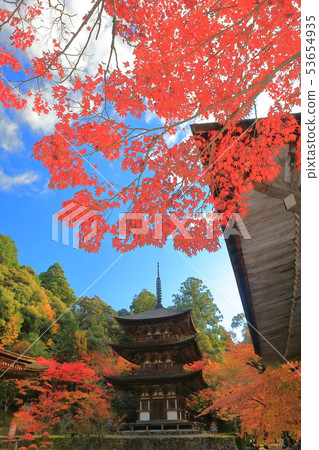 [滋賀縣]礦山塔，西明寺在秋天的顏色 53654935