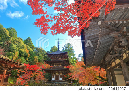 [滋賀縣]礦山塔，西明寺在秋天的顏色 53654937