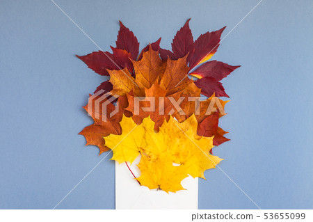 Autumn leaves in paper envelope mockup Autumn leaves in paper envelope mockup 53655099