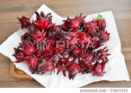 Rozelle sabdariffa，芙蓉（芙蓉·羅塞爾） 53655165