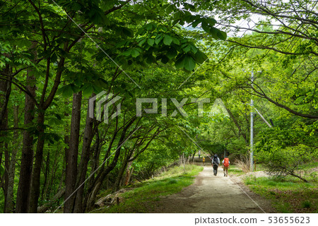 Fresh green Nishizawa valley entrance Fresh green Nishizawa valley entrance 53655623