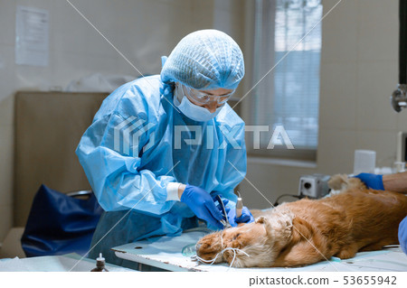 close-up procedure of professional teeth cleaning 53655942