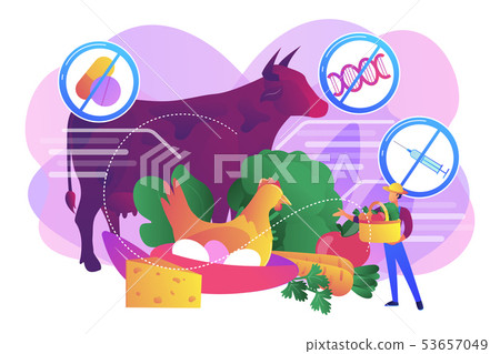 Free from antibiotics hormones GMO foods concept vector illustration. Free from antibiotics hormones GMO foods concept vector illustration. 53657049