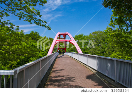 Fresh green split rock bridge 53658364