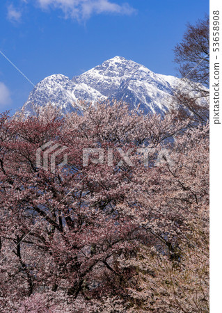 山梨縣北斗市Hoso-ji Temple的櫻花和Kaitai Komagatake 山梨縣北斗市Hoso-ji Temple的櫻花和Kaitai Komagatake 53658908