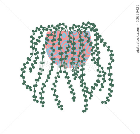 Leafy House Plant in Flowerpot, Design Element for Natural Home Interior Decoration Vector 53659423