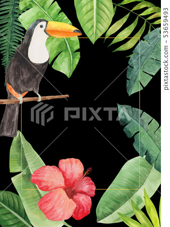 熱帶植物和toucan水彩背景 熱帶植物和toucan水彩背景 53659493