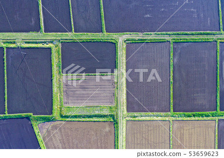 Sunny rural landscape, rural landscape drone shooting, rice field geometry, rice field, rice field which takes in the sunrise, 53659623