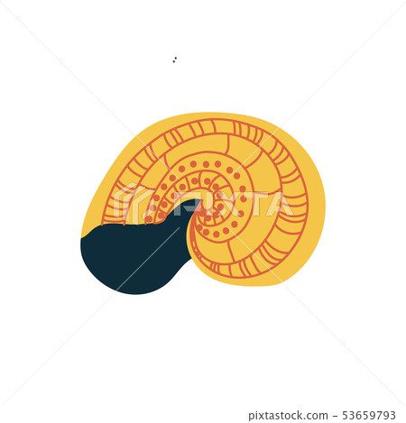 Tropical Seashell, Underwater Sea Creature Vector Illustration 53659793