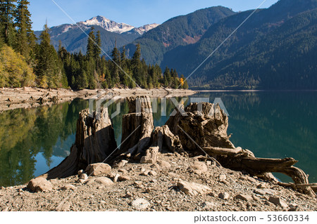 Dry logs and tree stumps on the dry shore of Baker Lake in North Cascades 53660334